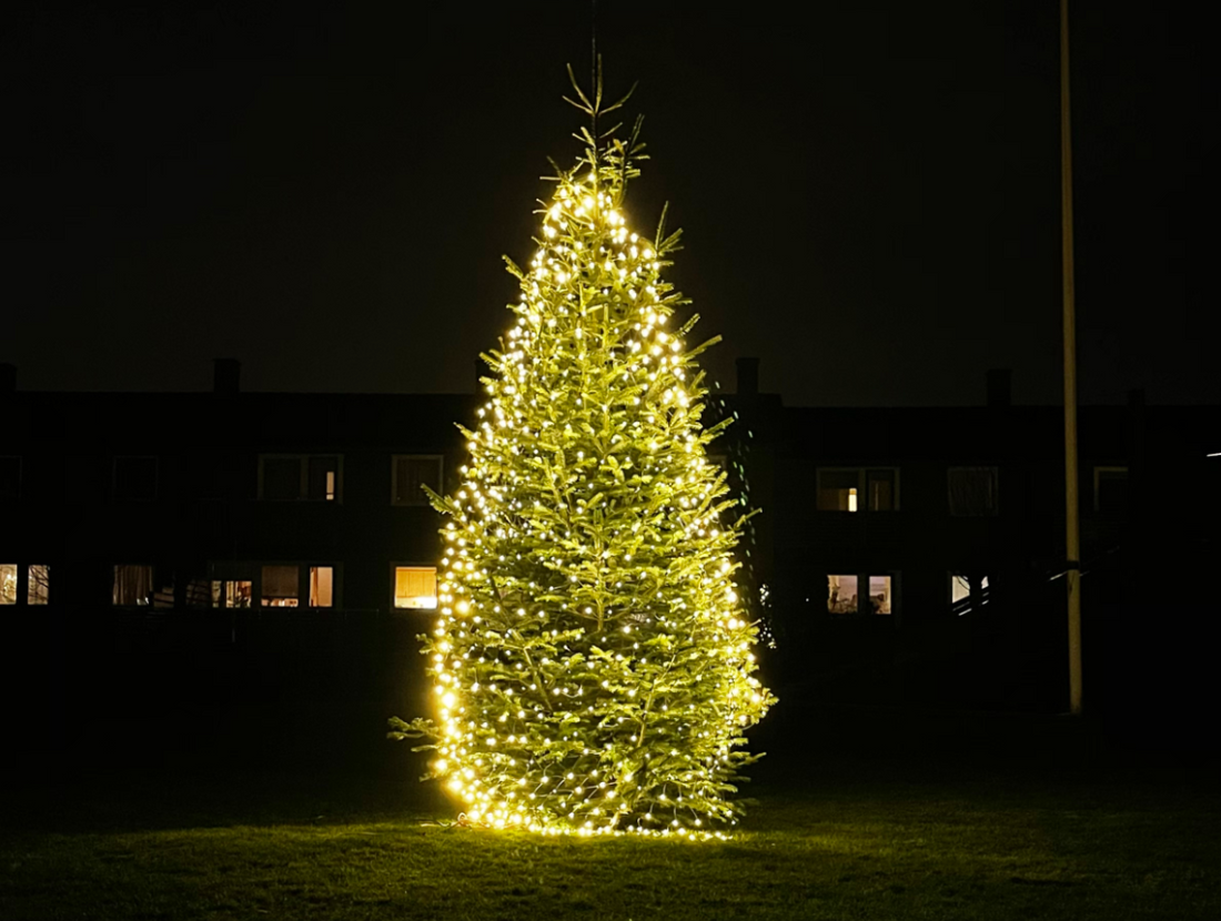 Outdoor spruce tree lit with warm white LED Christmas lights at night