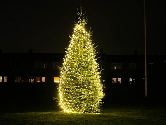 Outdoor spruce tree lit with warm white LED Christmas lights at night