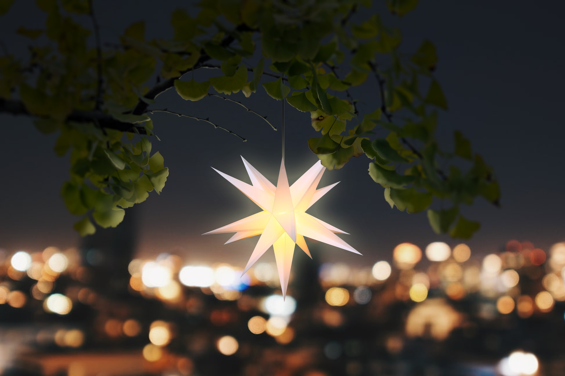 white 3D star christmas light for use outside