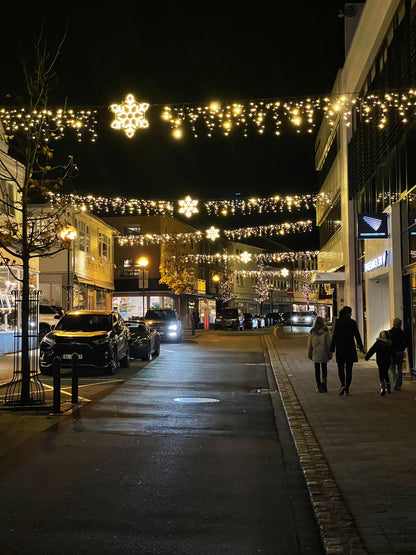 Istap Lyskæder 10 meter. 480 LED varm hvid